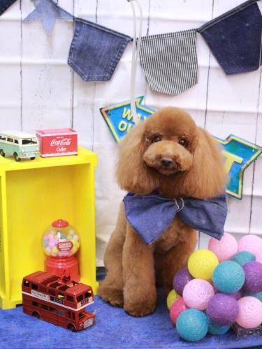 20230430ココアちゃん